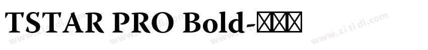 TSTAR PRO Bold字体转换